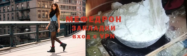 индика Абаза