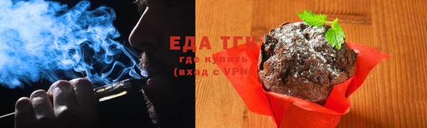 индика Абаза