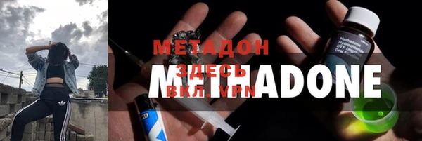 индика Абаза