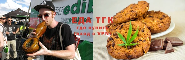 индика Абаза