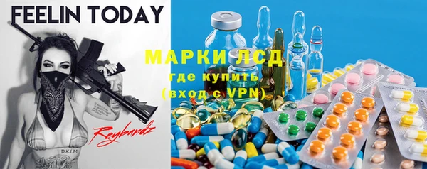 индика Абаза