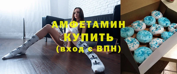 индика Абаза