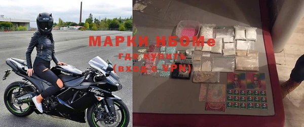 индика Абаза