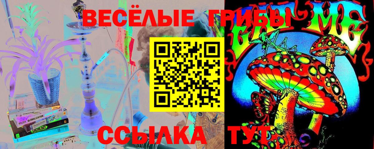 Псилоцибиновые грибы Cubensis Аксай