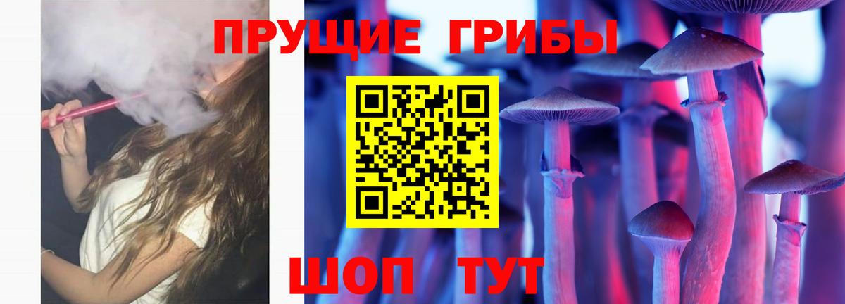 Аксай  Галлюциногенные грибы мицелий  Псилоцибиновые грибы прущие грибы  где продают   Вход с VPN 